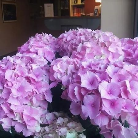 호텔 La Trigola 3*