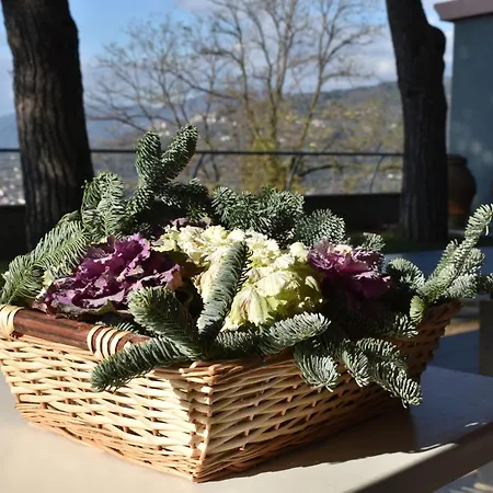 La Trigola 호텔 3*