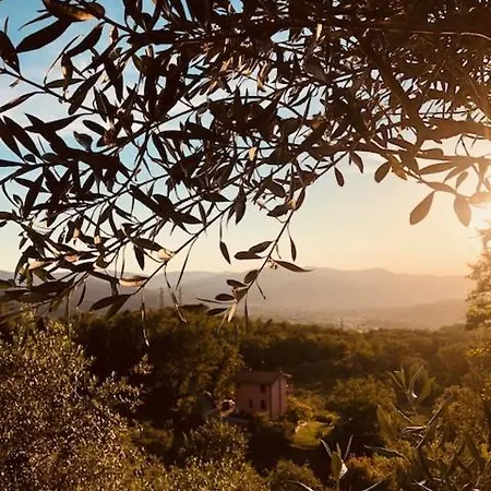 La Trigola 3* 라스페치아