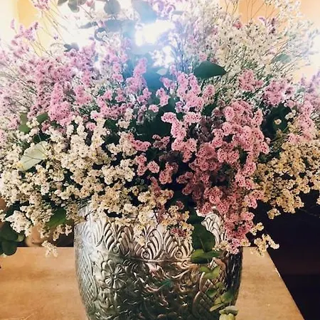 Hotel La Trigola La Spezia