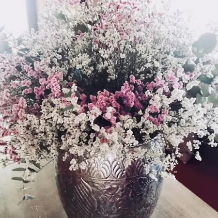 호텔 La Trigola 라스페치아