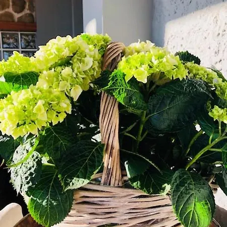 La Trigola 라스페치아