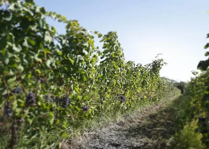 拉特里格拉酒店