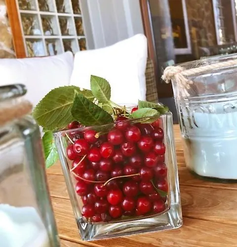 拉特里格拉酒店 酒店