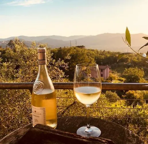 拉特里格拉酒店 酒店