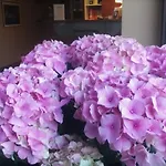 Hotel La Trigola 3*