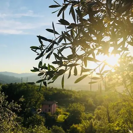La Trigola La Spezia