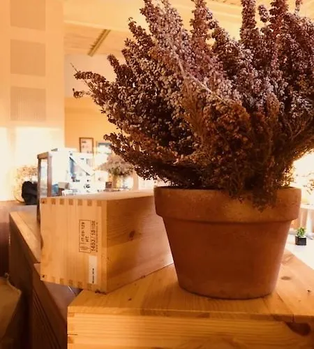 La Trigola La Spezia