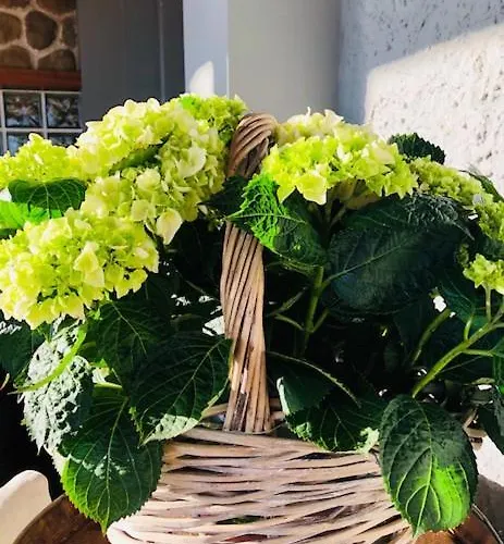 La Trigola La Spezia